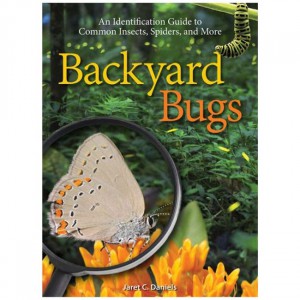 Adventure Backyard Bugs: An Identification To Common Insects, Spiders And More Field Guides