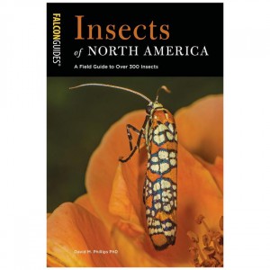 Falcon Insects Of North America Field Guides