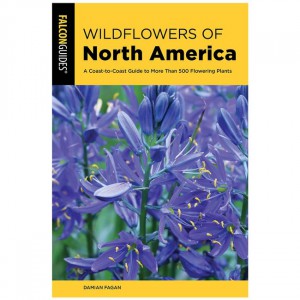 Falcon Wildflowers Of North America: A Coast-To-Coast Guide To More Than 500 Flowering Plants Field Guides