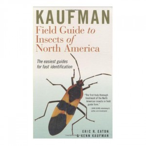 Houghton Field Guide To Insects of North America Field Guides