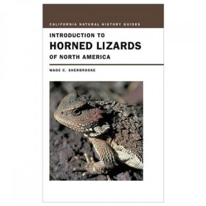 Ingram Introduction To Horned Lizards Of North America Field Guides