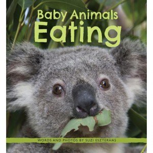 Owlkids Baby Animals Eating Books