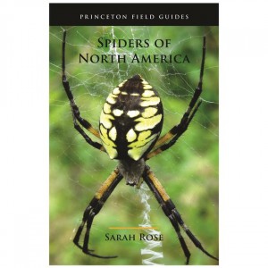 Princeton Spiders Of North America Field Guides