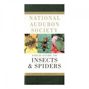 Random Field Guide To Insects & Spiders of North America National Audubon Society Field Guides
