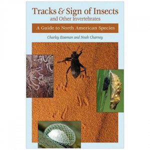 Stackpole Tracks & Sign Of Insects And Other Invertebrates: A Guide To North American Species Field Guides