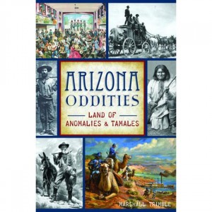 The Arizona Oddities: Land Of Anomalies And Tamales Fiction